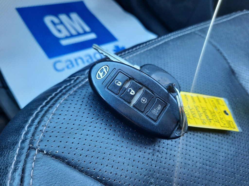 2009 Hyundai Santa Fe GLS in Hebbville, Nova Scotia - 28 - w1024h768px