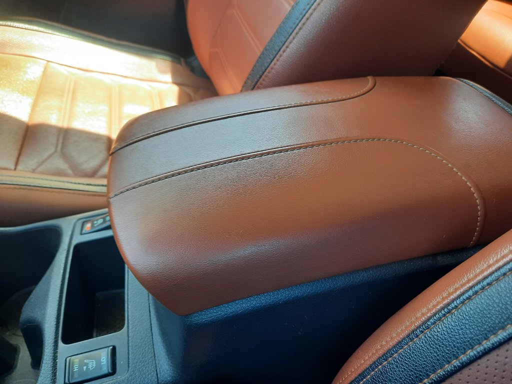 2017 Nissan Rogue SL Platinum in Hebbville, Nova Scotia - 20 - w1024h768px