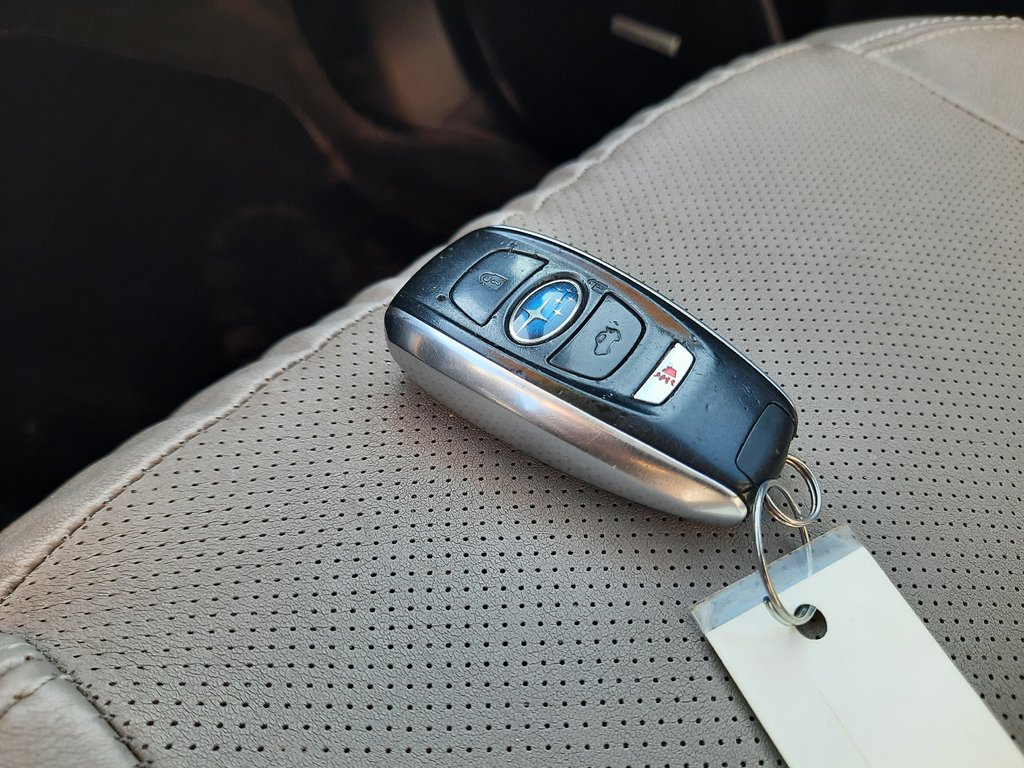 2016 Subaru Forester I Limited in Hebbville, Nova Scotia - 29 - w1024h768px