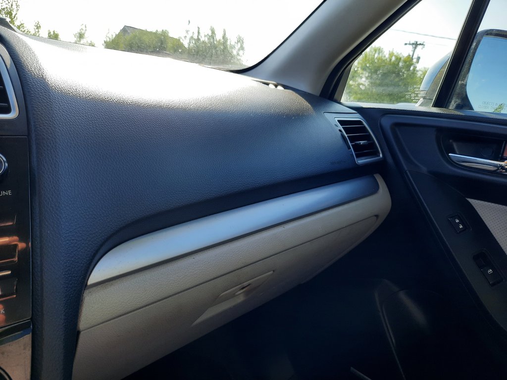2016 Subaru Forester I Limited in Hebbville, Nova Scotia - 21 - w1024h768px