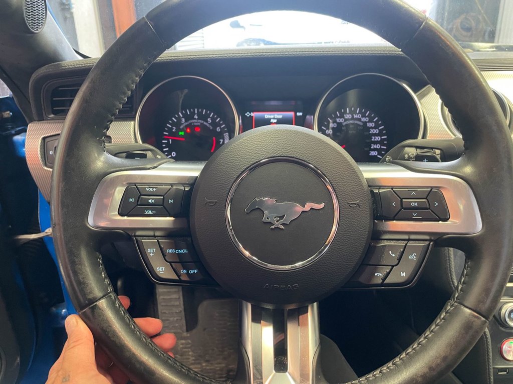 Ford Mustang  2019 à St-Jérôme, Québec - 14 - w1024h768px