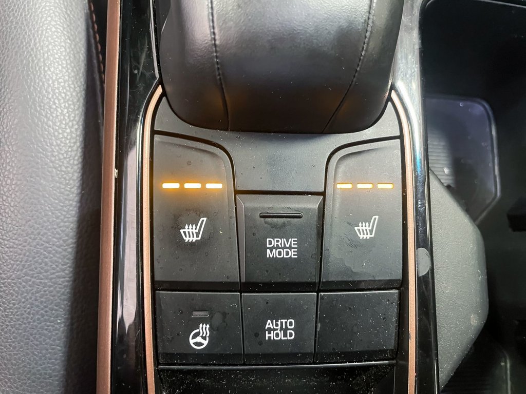 2017 Hyundai Ioniq Electric in St-Jérôme, Quebec - 14 - w1024h768px