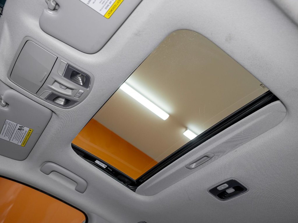 Hyundai Ioniq Electric  2017 à St-Jérôme, Québec - 4 - w1024h768px