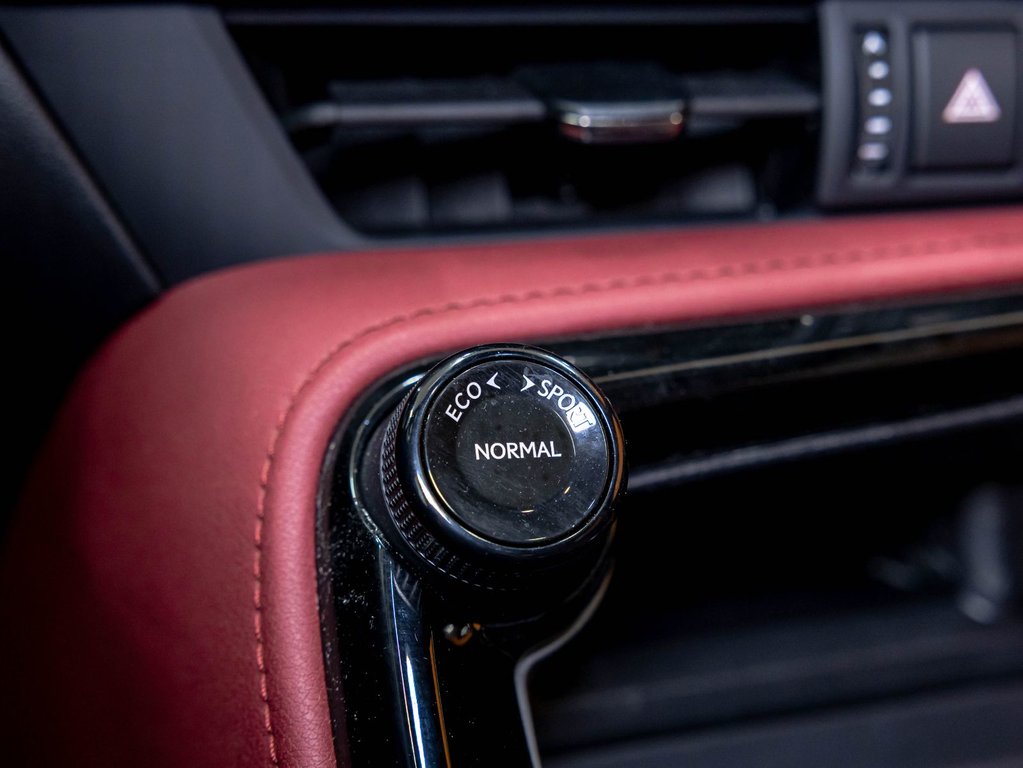 2024 Lexus NX in St-Jérôme, Quebec - 22 - w1024h768px