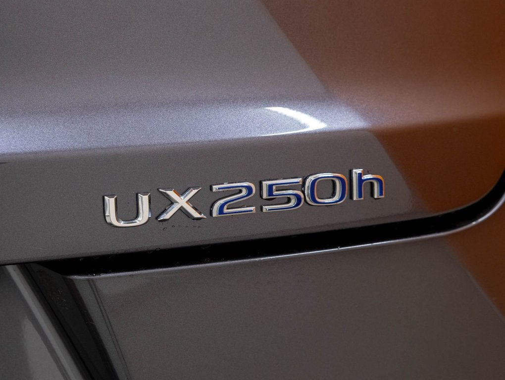 2022 Lexus UX in St-Jérôme, Quebec - 34 - w1024h768px