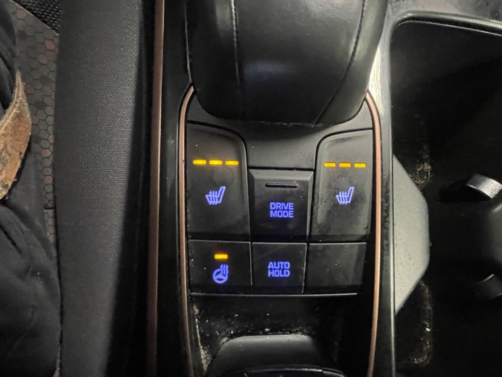 Hyundai Ioniq Electric  2019 à St-Jérôme, Québec - 12 - w1024h768px