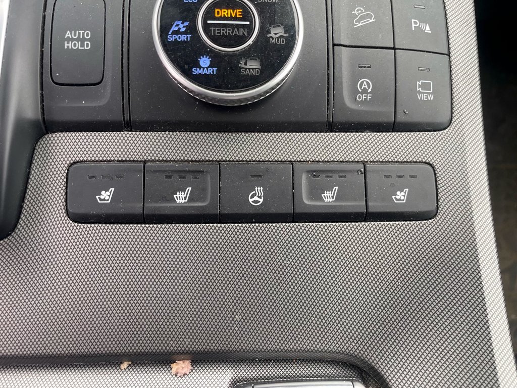 Hyundai Palisade  2021 à St-Jérôme, Québec - 14 - w1024h768px