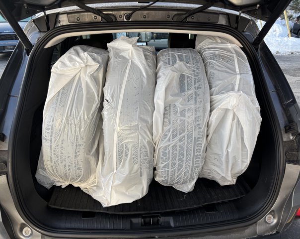 2024 Ford Escape Active in Gander, Newfoundland and Labrador - 9 - w1024h768px