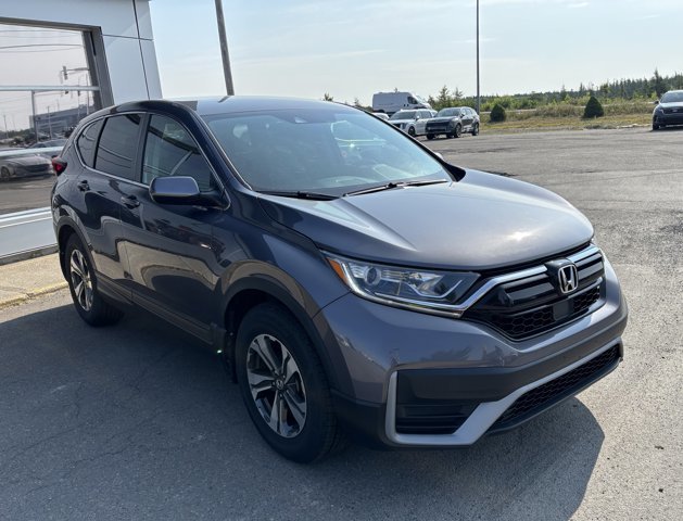 2020 Honda CR-V LX in Gander, Newfoundland and Labrador - 4 - w1024h768px