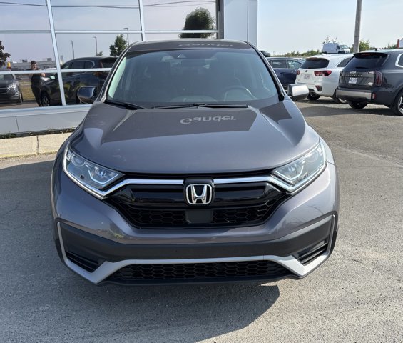 2020 Honda CR-V LX in Gander, Newfoundland and Labrador - 3 - w1024h768px