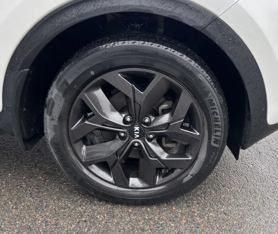 2021 Kia Sportage LX in Gander, Newfoundland and Labrador - 5 - w1024h768px