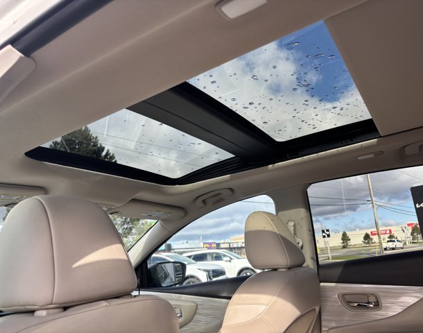 2017 Nissan Murano SL in Gander, Newfoundland and Labrador - 12 - w1024h768px