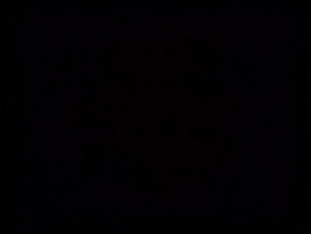 2025 Cadillac XT5 AWD Luxury in Dartmouth, Nova Scotia - 22 - w1024h768px