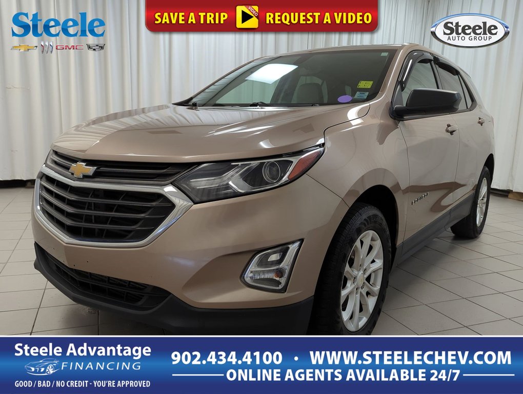 2019 Chevrolet Equinox LS in Dartmouth, Nova Scotia - 1 - w1024h768px