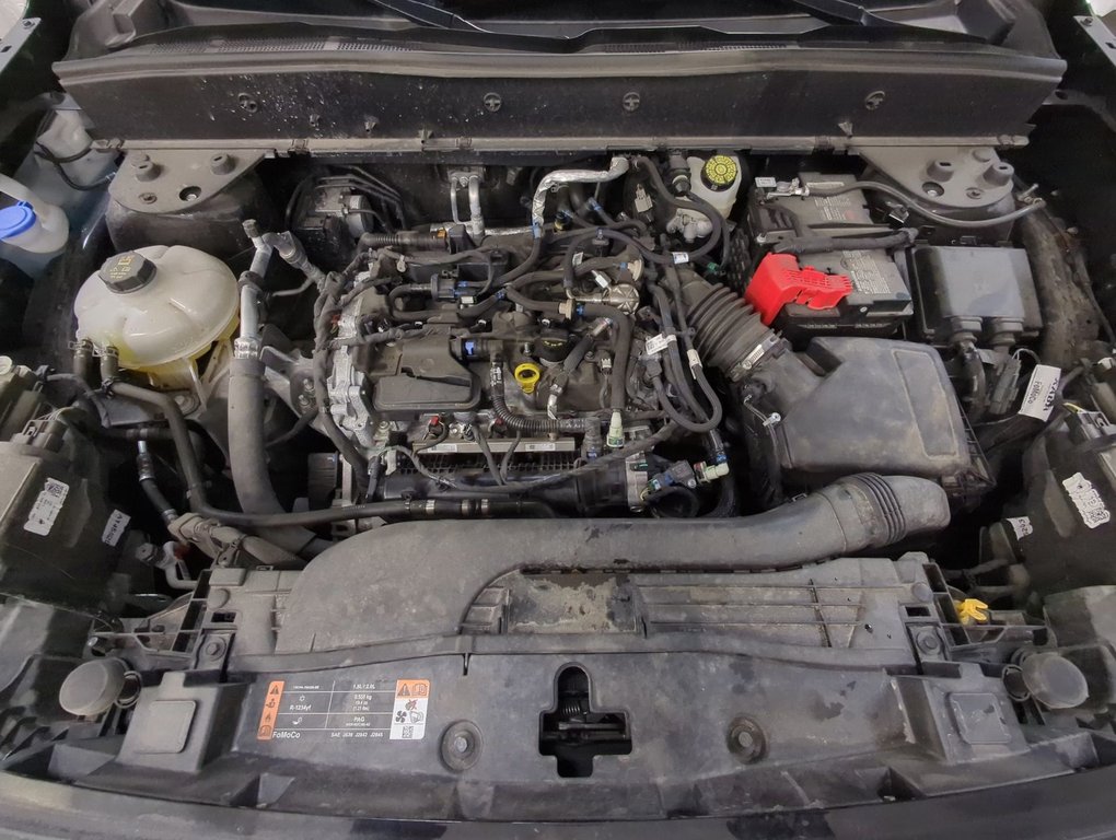 2024 Ford Bronco Sport Outer Banks in Dartmouth, Nova Scotia - 24 - w1024h768px