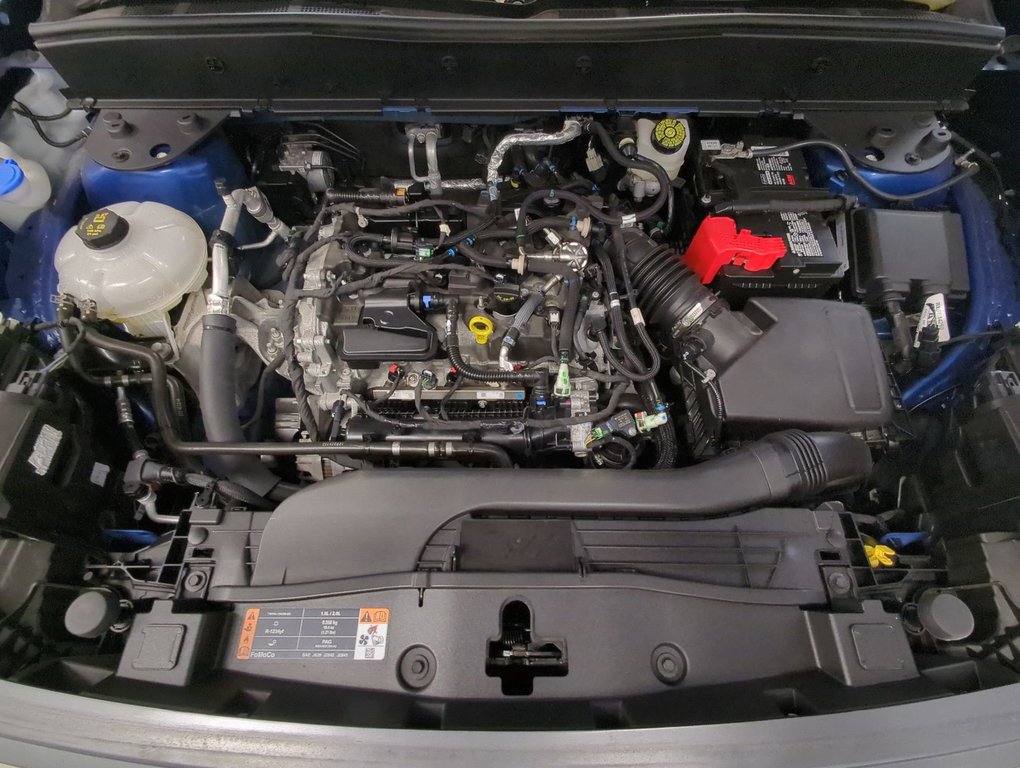 2024 Ford Bronco Sport Big Bend in Dartmouth, Nova Scotia - 24 - w1024h768px