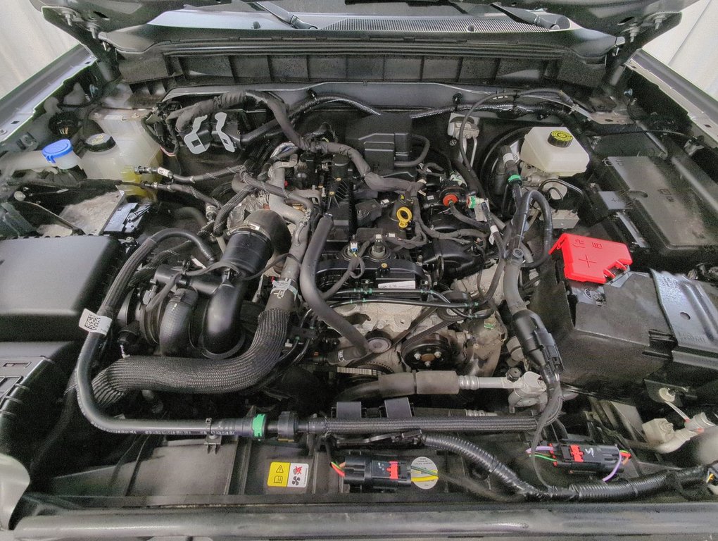 2022 Ford Bronco Big Bend in Dartmouth, Nova Scotia - 24 - w1024h768px