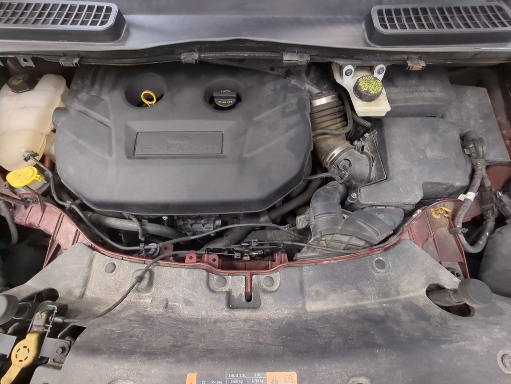 2015 Ford Escape SE in Dartmouth, Nova Scotia - 24 - w1024h768px