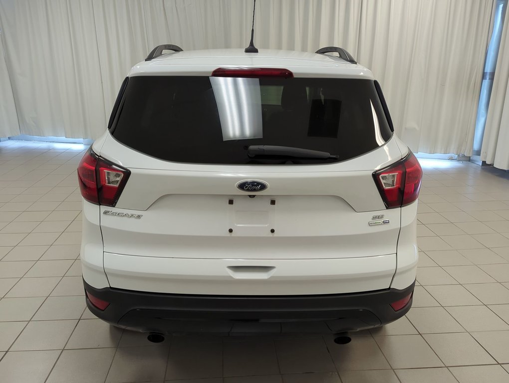 2019  Escape SE in Dartmouth, Nova Scotia - 7 - w1024h768px