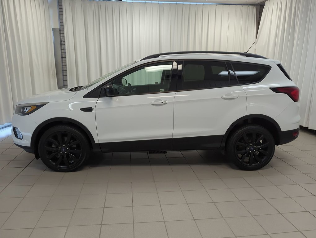 2019  Escape SE in Dartmouth, Nova Scotia - 5 - w1024h768px