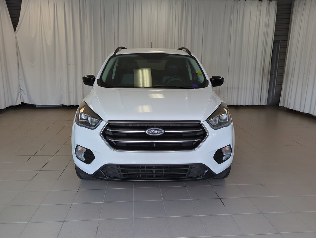 2019  Escape SE in Dartmouth, Nova Scotia - 3 - w1024h768px