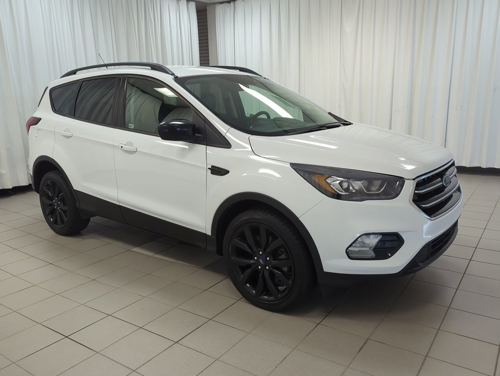 2019  Escape SE in Dartmouth, Nova Scotia - 9 - w1024h768px