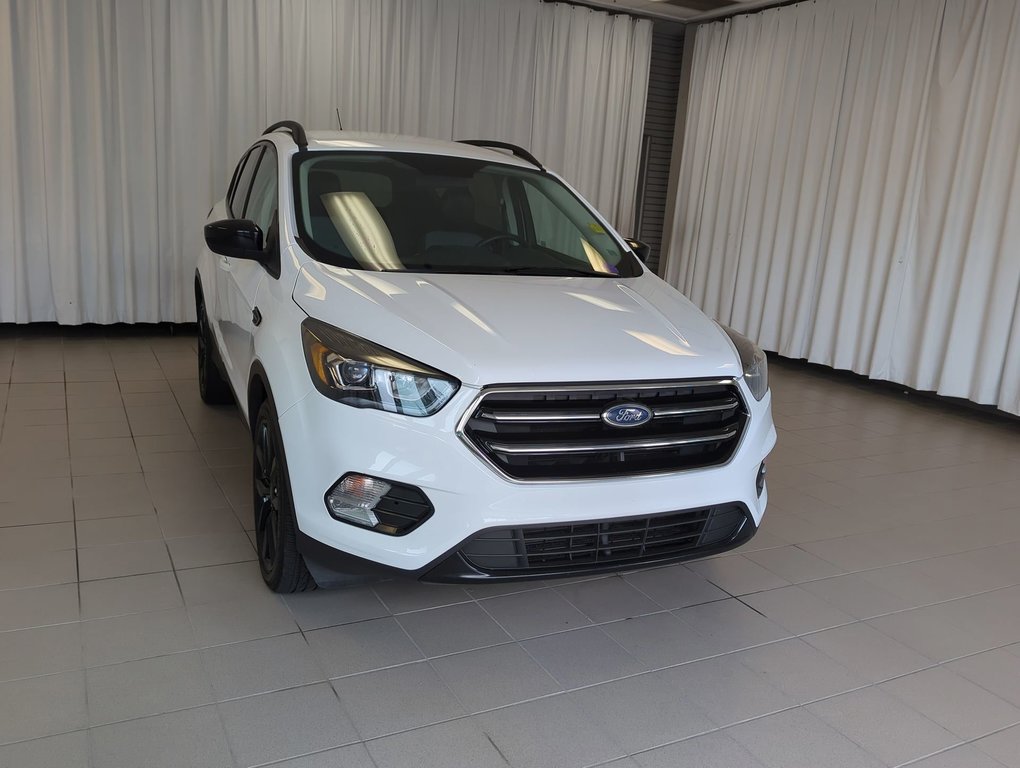 2019  Escape SE in Dartmouth, Nova Scotia - 2 - w1024h768px