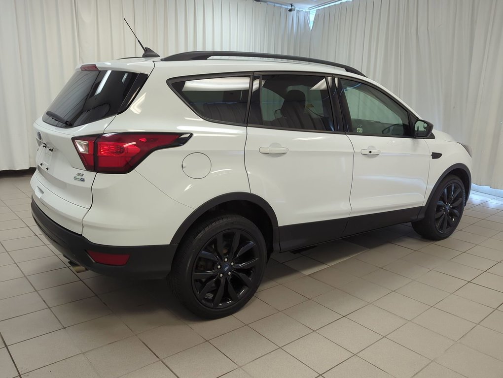 2019  Escape SE in Dartmouth, Nova Scotia - 8 - w1024h768px