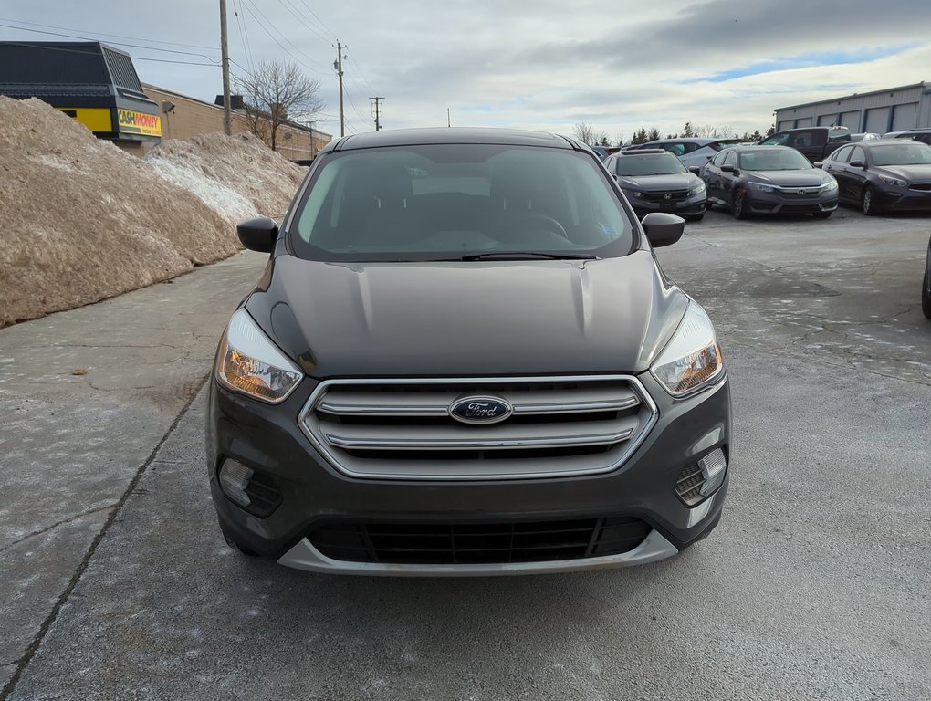 2019 Ford Escape SE AWD *GM Certified* in Dartmouth, Nova Scotia - 3 - w1024h768px