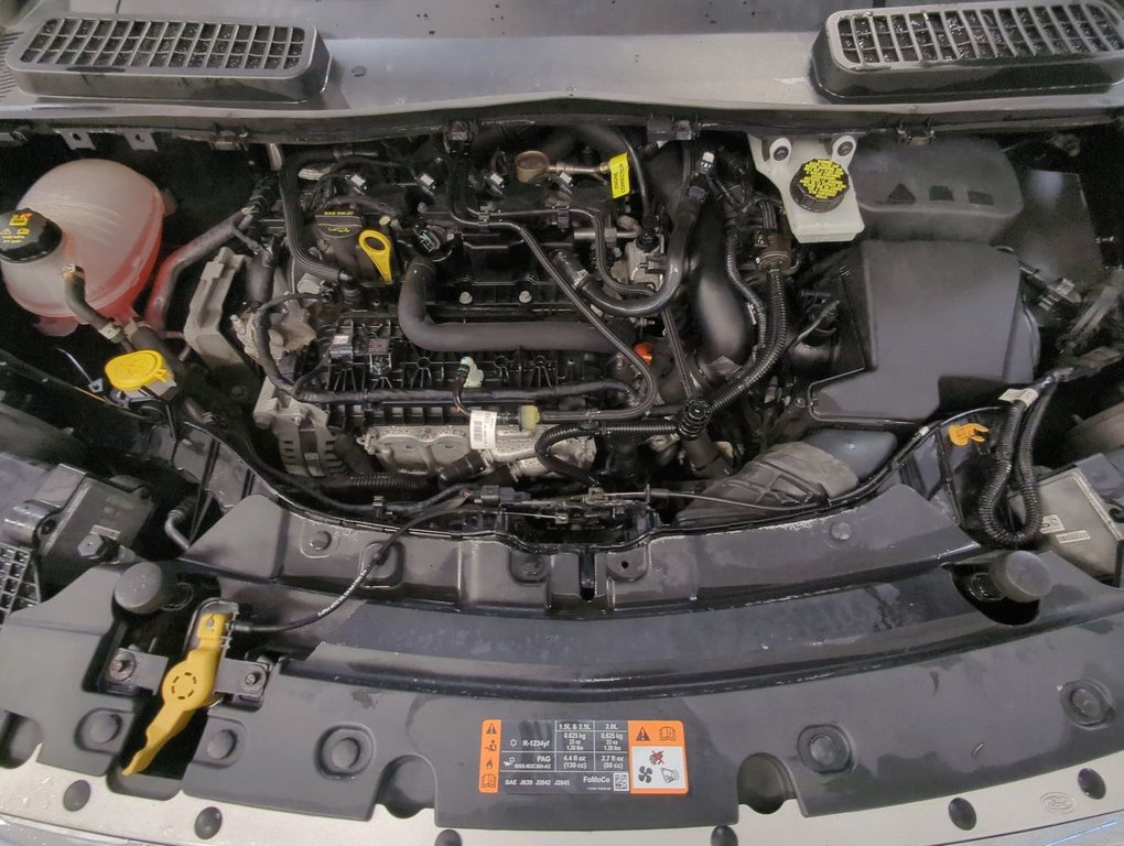 2019 Ford Escape SEL in Dartmouth, Nova Scotia - 25 - w1024h768px