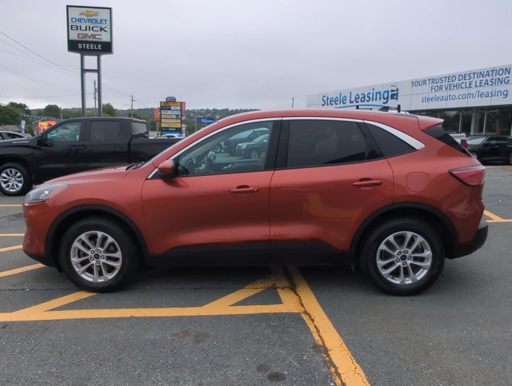 2020  Escape SE in Dartmouth, Nova Scotia - 5 - w1024h768px