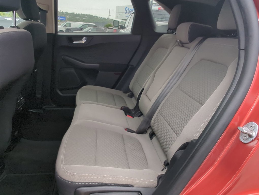 2020  Escape SE in Dartmouth, Nova Scotia - 22 - w1024h768px