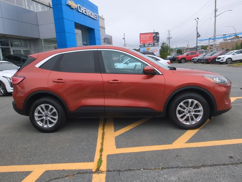 2020  Escape SE in Dartmouth, Nova Scotia - 9 - w1024h768px