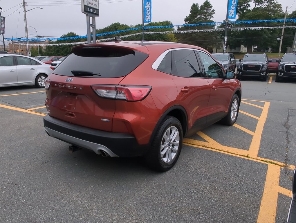 2020  Escape SE in Dartmouth, Nova Scotia - 8 - w1024h768px