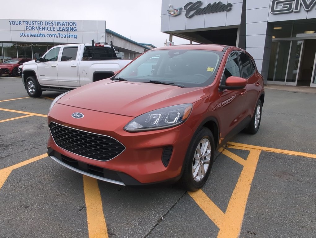 2020  Escape SE in Dartmouth, Nova Scotia - 4 - w1024h768px