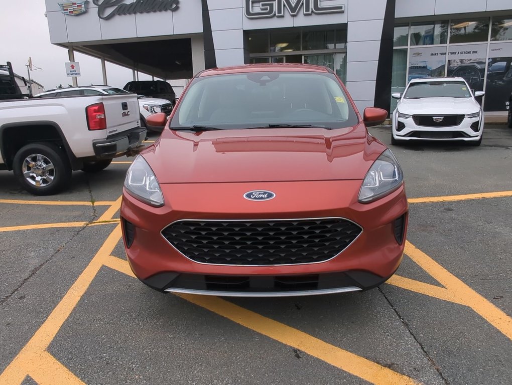 2020  Escape SE in Dartmouth, Nova Scotia - 3 - w1024h768px