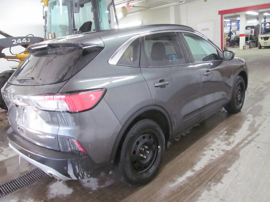 2020 Ford Escape SEL in Dartmouth, Nova Scotia - 4 - w1024h768px