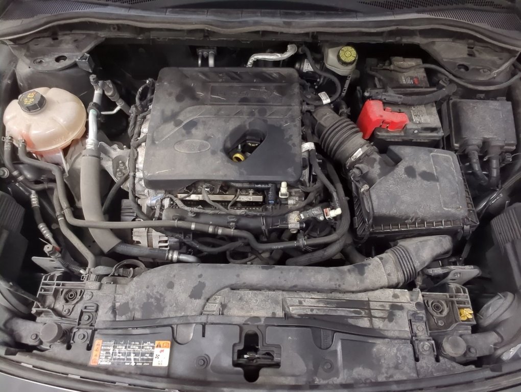 2020 Ford Escape SEL in Dartmouth, Nova Scotia - 25 - w1024h768px