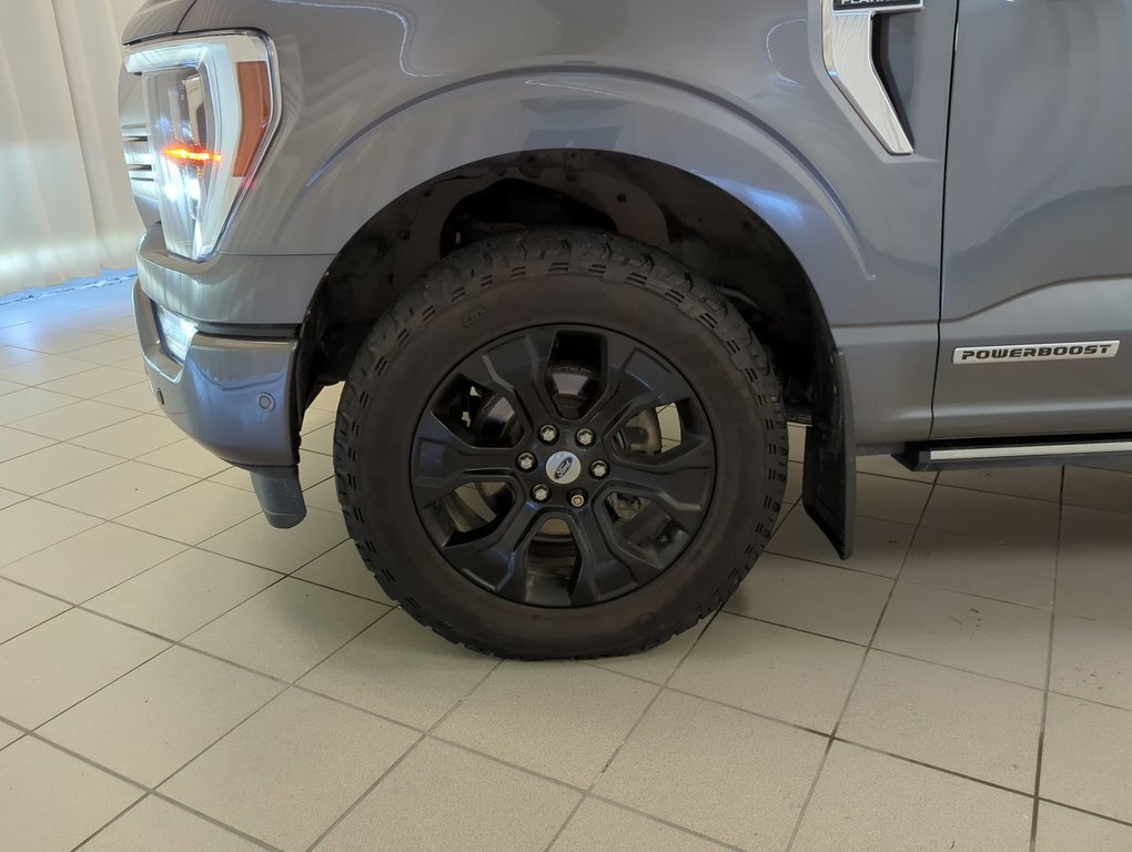 2021 Ford F-150 Platinum in Dartmouth, Nova Scotia - 10 - w1024h768px