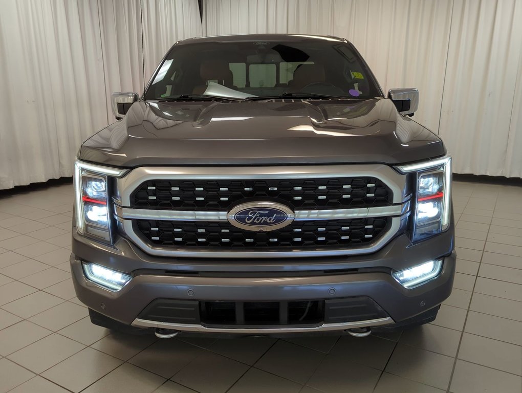 2021 Ford F-150 Platinum in Dartmouth, Nova Scotia - 3 - w1024h768px