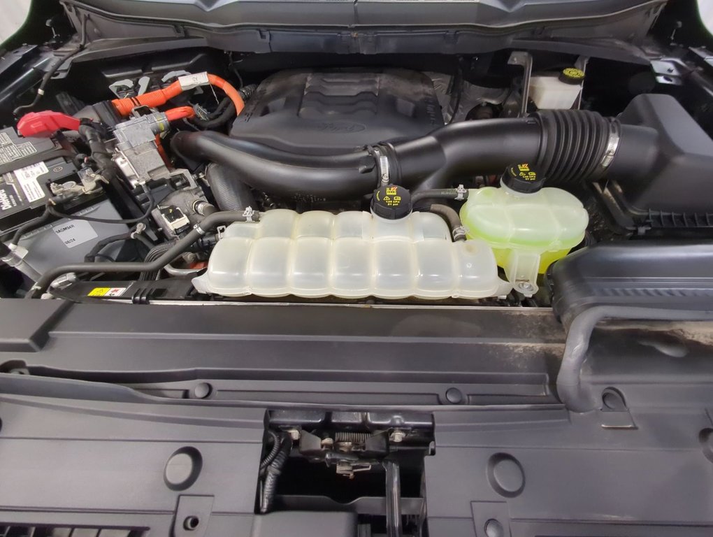 2021 Ford F-150 Platinum in Dartmouth, Nova Scotia - 26 - w1024h768px