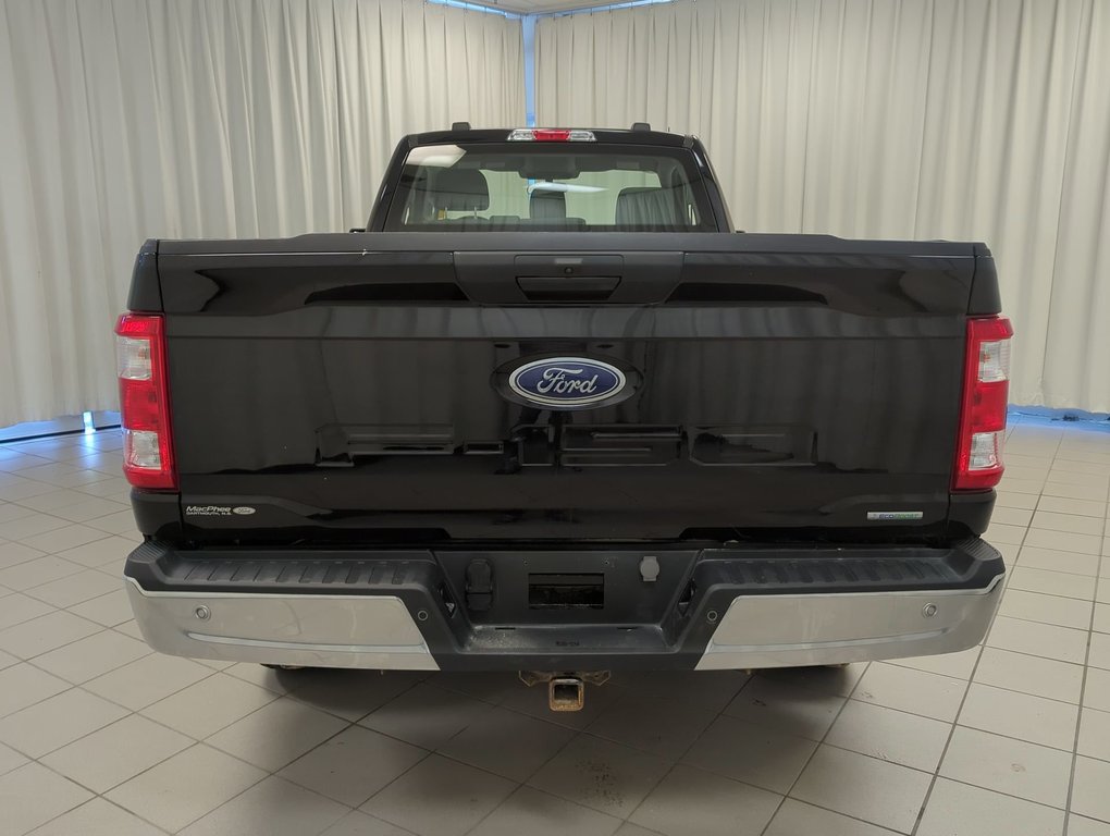 2023 Ford F-150 XL in Dartmouth, Nova Scotia - 7 - w1024h768px