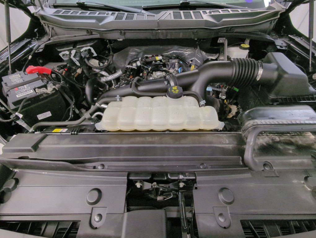 2023 Ford F-150 XL in Dartmouth, Nova Scotia - 23 - w1024h768px