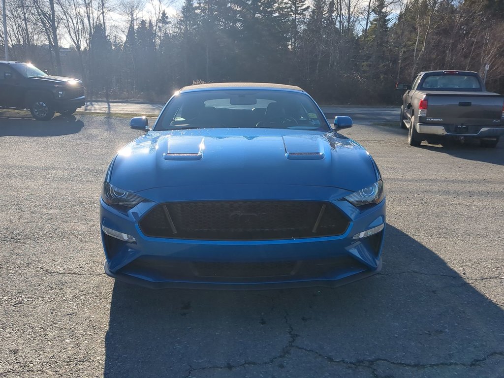 2019 Ford Mustang GT Premium *GM Certified* in Dartmouth, Nova Scotia - 3 - w1024h768px