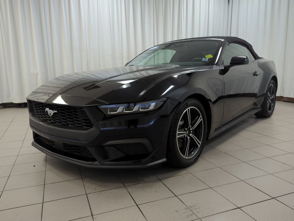 2024 Ford Mustang EcoBoost Premium in Dartmouth, Nova Scotia - 4 - w1024h768px