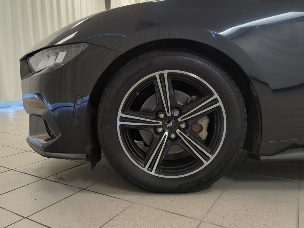 2024 Ford Mustang EcoBoost Premium in Dartmouth, Nova Scotia - 10 - w1024h768px