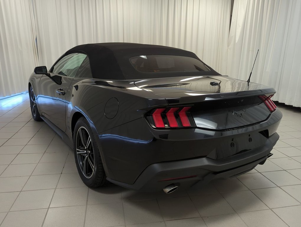 2024 Ford Mustang EcoBoost Premium in Dartmouth, Nova Scotia - 6 - w1024h768px