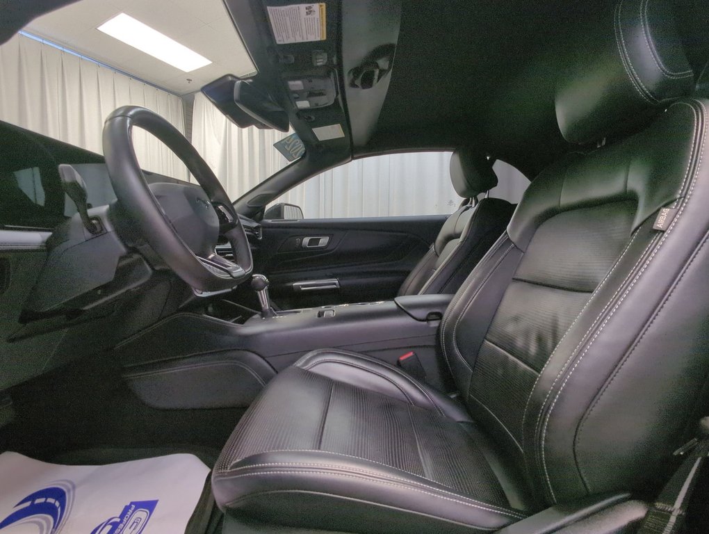 2024 Ford Mustang EcoBoost Premium in Dartmouth, Nova Scotia - 11 - w1024h768px