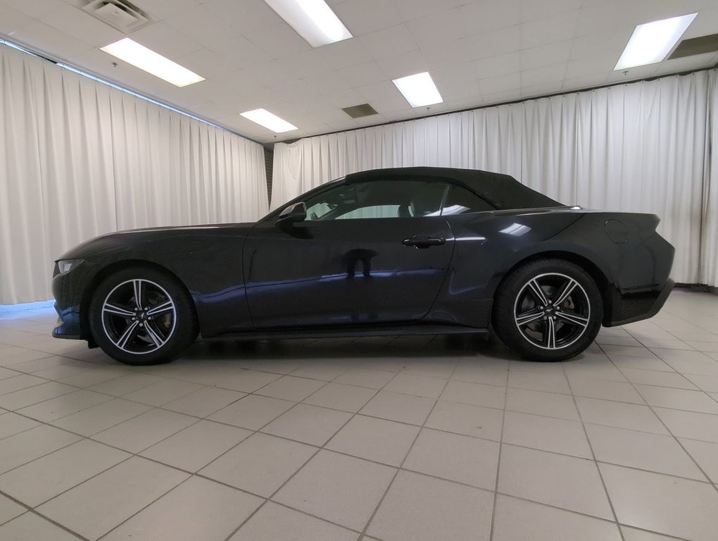 2024 Ford Mustang EcoBoost Premium in Dartmouth, Nova Scotia - 5 - w1024h768px