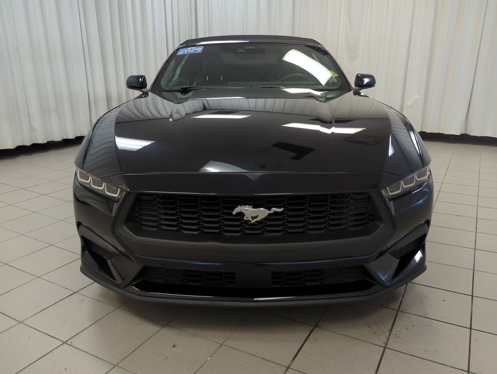 2024 Ford Mustang EcoBoost Premium in Dartmouth, Nova Scotia - 3 - w1024h768px